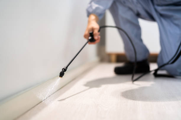 Licensed Pest Control service in Kent, OH - Show Me Pest Control