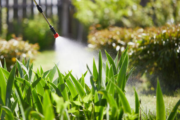 Tamper-Resistant Bait Stations for Rodents in Kent